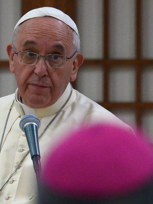 Papst Franziskus mit ernstem Gesicht, davor drei Hinterköpfe von Bischöfen