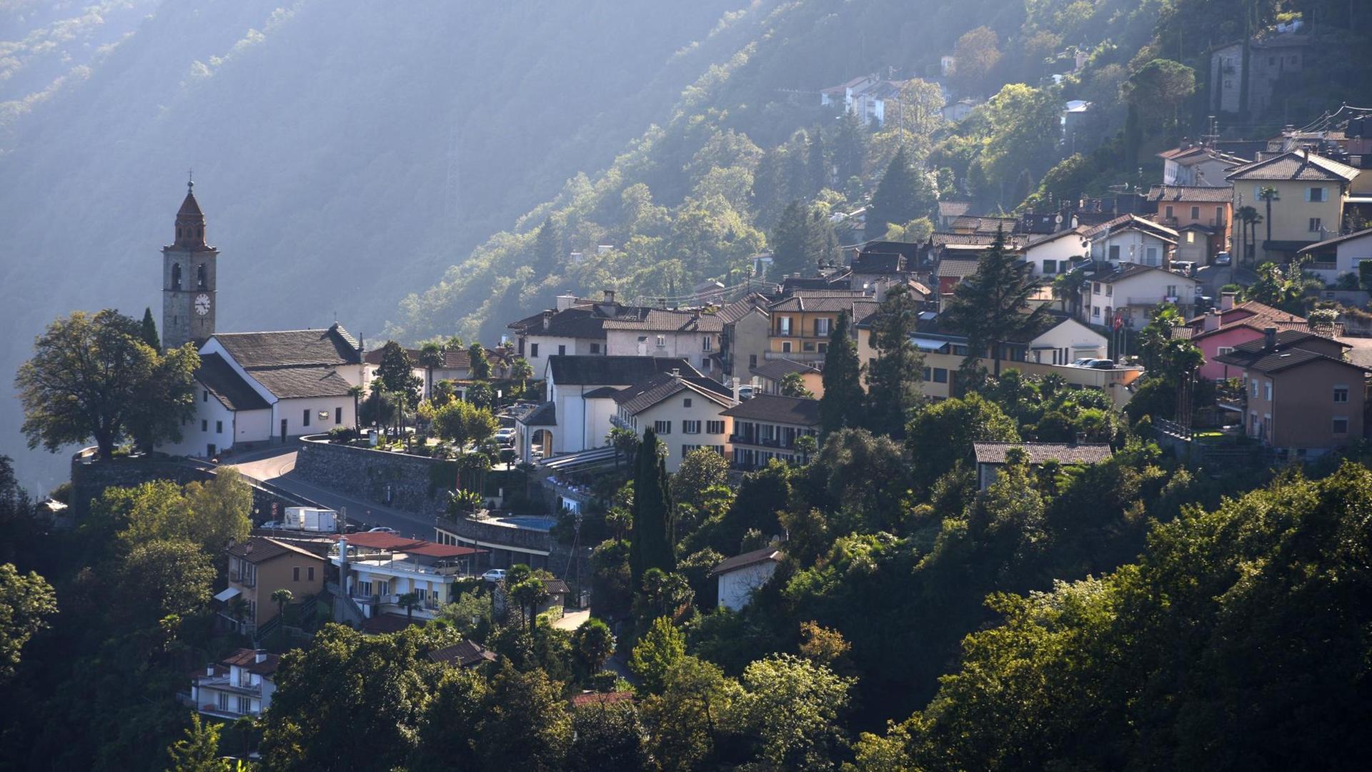Blick von Ronco sopra Ascona auf Brissago am Lago Maggiore.
