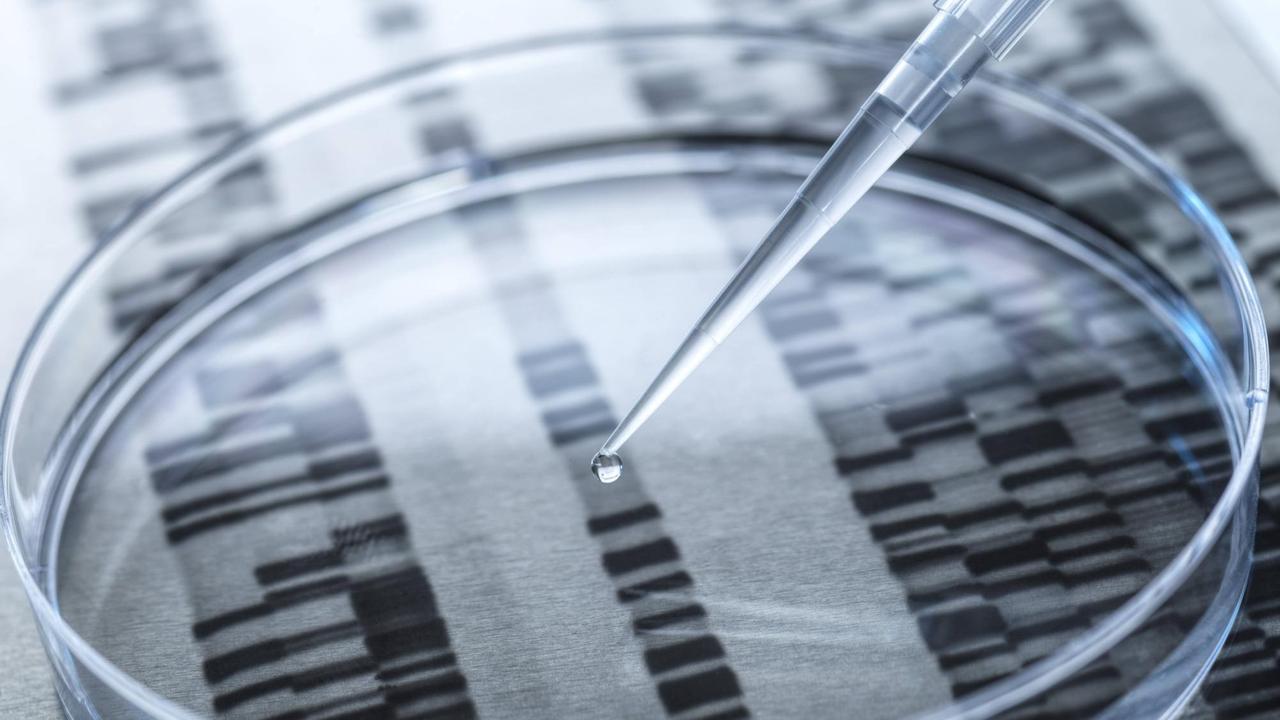 Das Foto zeigt eine Petrischale mit einer Pipette, unter der durchsichtigen Petrischale sieht man eine Aufnahme von DNA-Sequenzen. (Symbolbild)