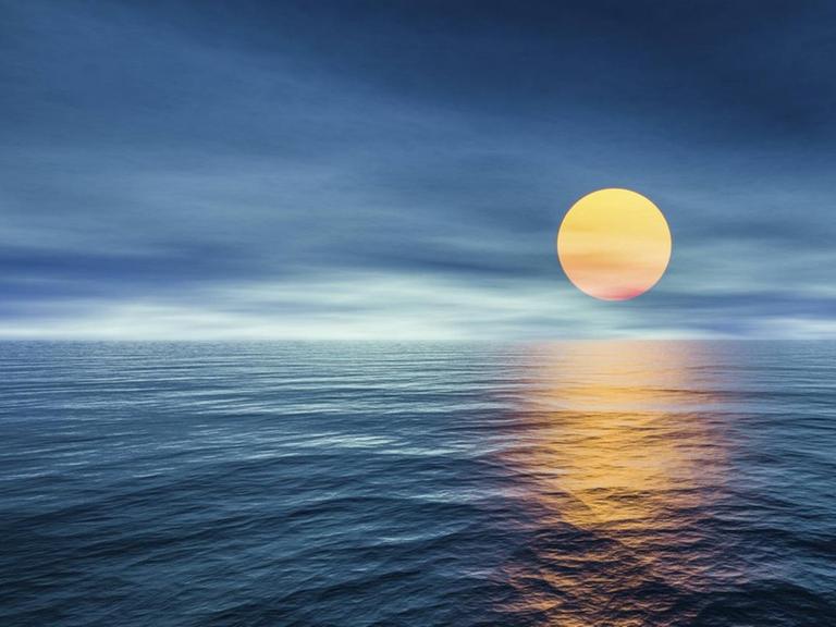 Die Hohe See oder Hochsee umfasst nach Artikel 86 des Seerechtsübereinkommens  alle Teile der Meere, die nicht zu einer Wirtschaftszone, zum Küstenmeer, zu den Binnengewässern eines Staates oder zu den Archipelgewässern eines Archipelstaats gehören.r