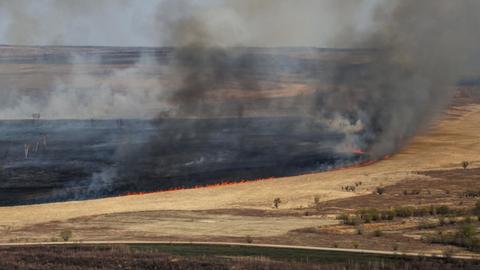Waldfeuer in Sibirien in der Amur-Region