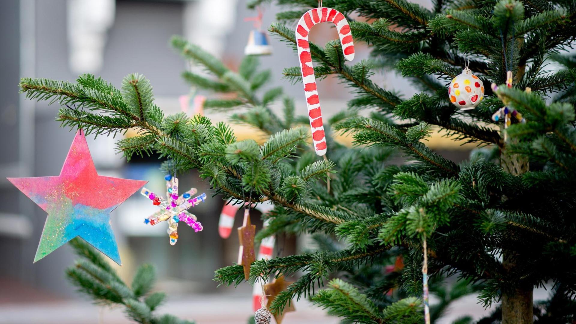 Weihnachtliche Dekoration mit Sternen hängt an einem Tannenbaum.