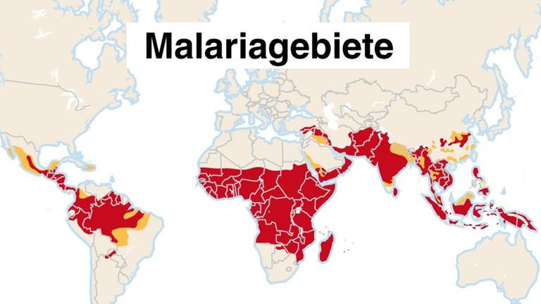 Länder mit hoher Ansteckungsgefahr und mit einem erhöhten Risiko der Malariainfektion
