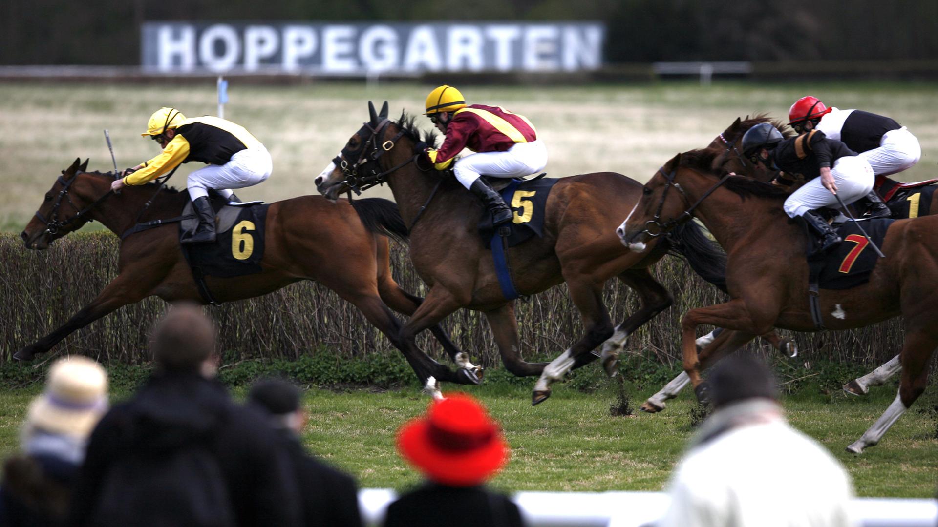 Zuschauer sehen sich auf der Rennbahn Hoppegarten einen Lauf an, aufgenommen 2012