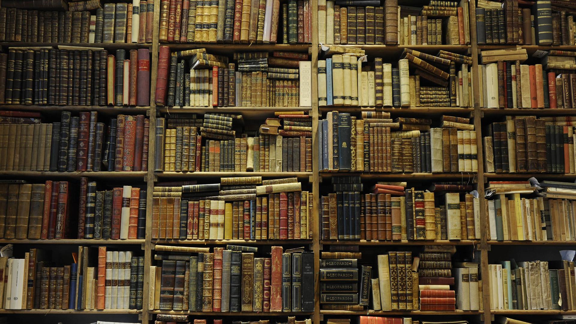 Bücherregal in einem Antiquariat in Rom, Italien.