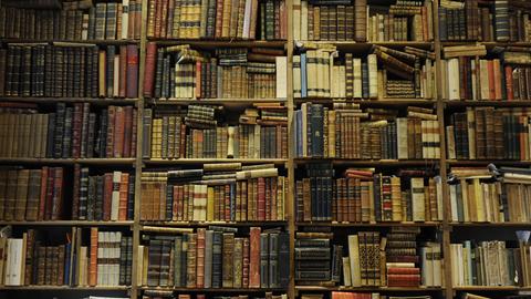 Bücherregal in einem Antiquariat in Rom, Italien.