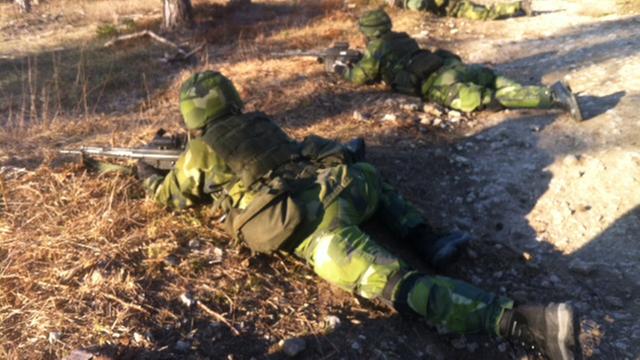 Soldaten der sogenannten Heimwehr nehmen an einem Manöver auf der schwedischen Insel Gotland teil.