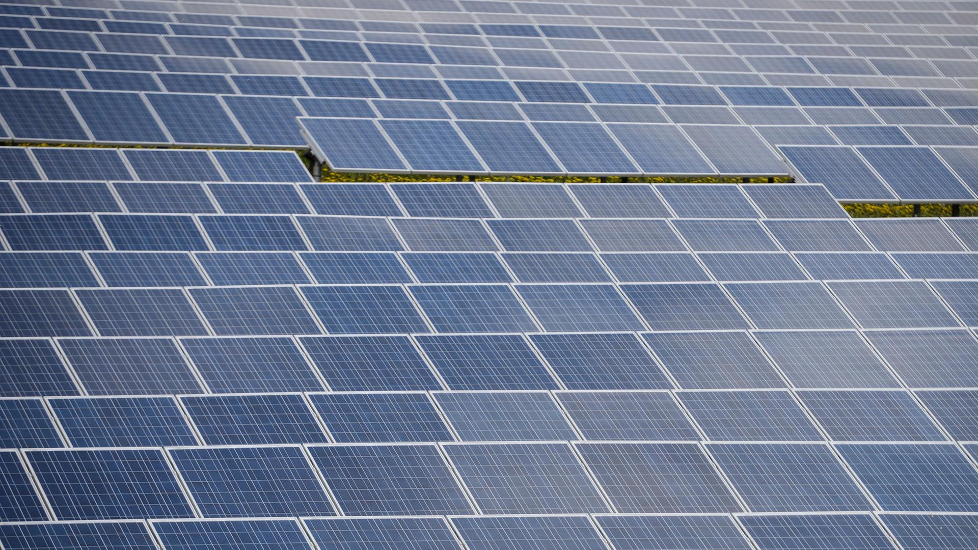 Dutzende Sonnenkollektoren stehen am in einem Solarpark des Photovoltaik-Spezialisten IBC Solar an der Autobahn 70 bei Buckendorf (Bayern).