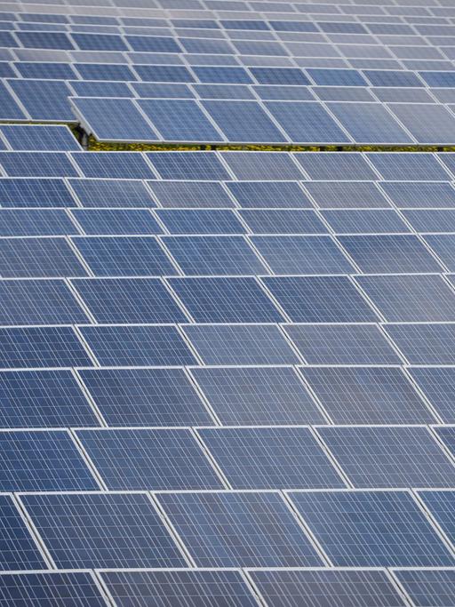 Dutzende Sonnenkollektoren stehen am in einem Solarpark des Photovoltaik-Spezialisten IBC Solar an der Autobahn 70 bei Buckendorf (Bayern).