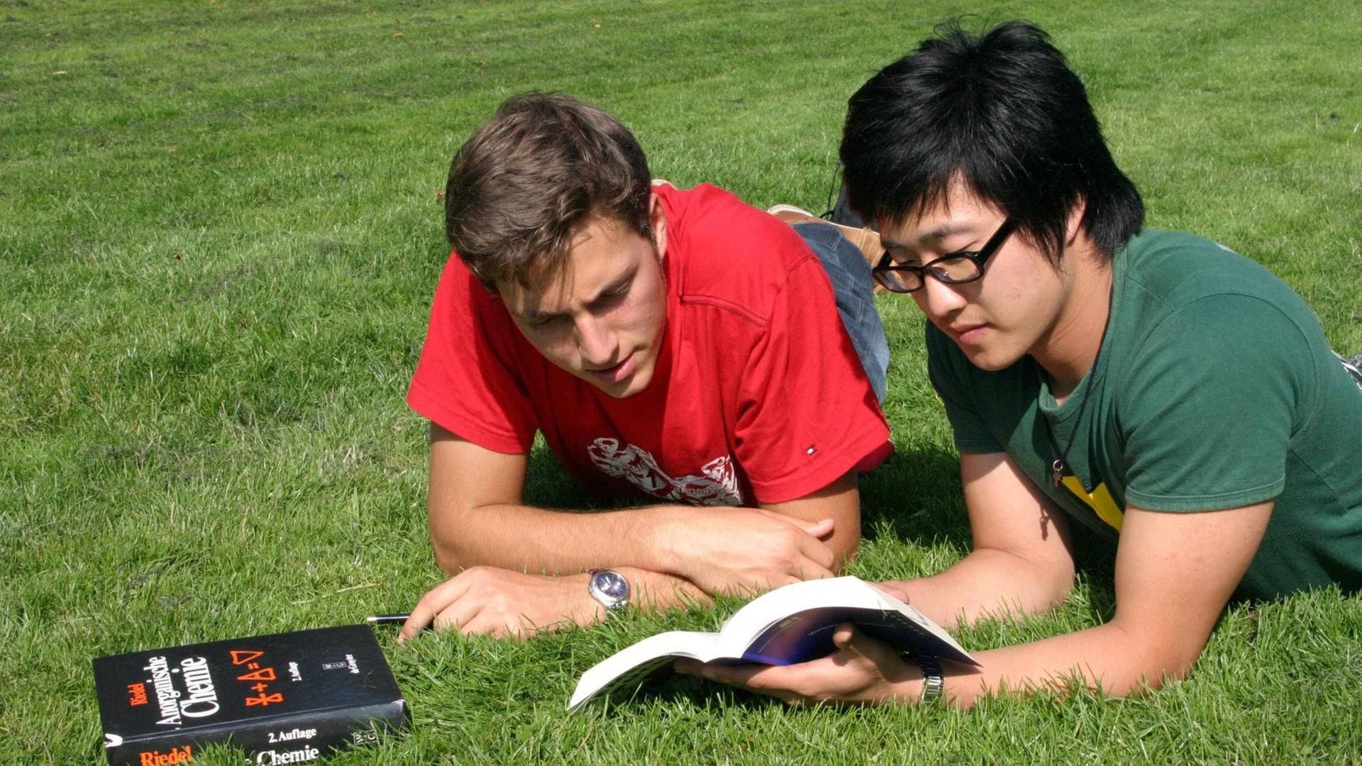 Zwei Studierende unterschiedlicher Nationalität aud einer Wiese