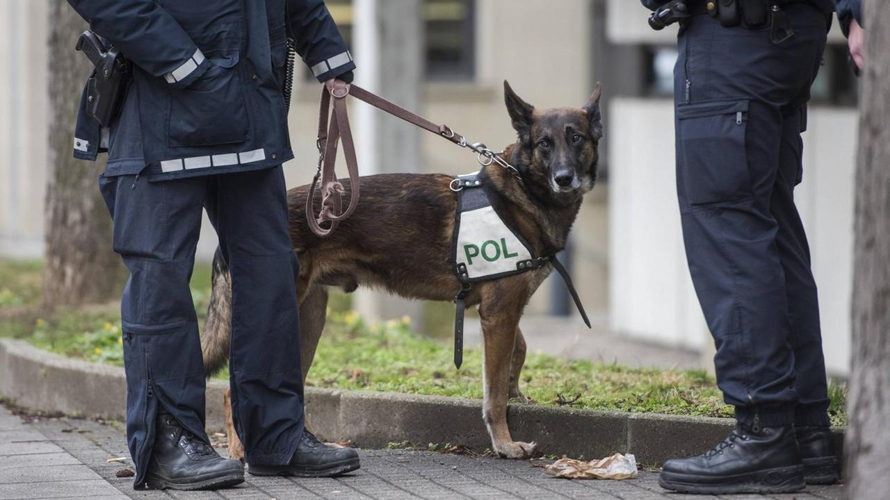 Ein Polizeihund mit zwei Polizisten in schwerer Einsatzkleidung.