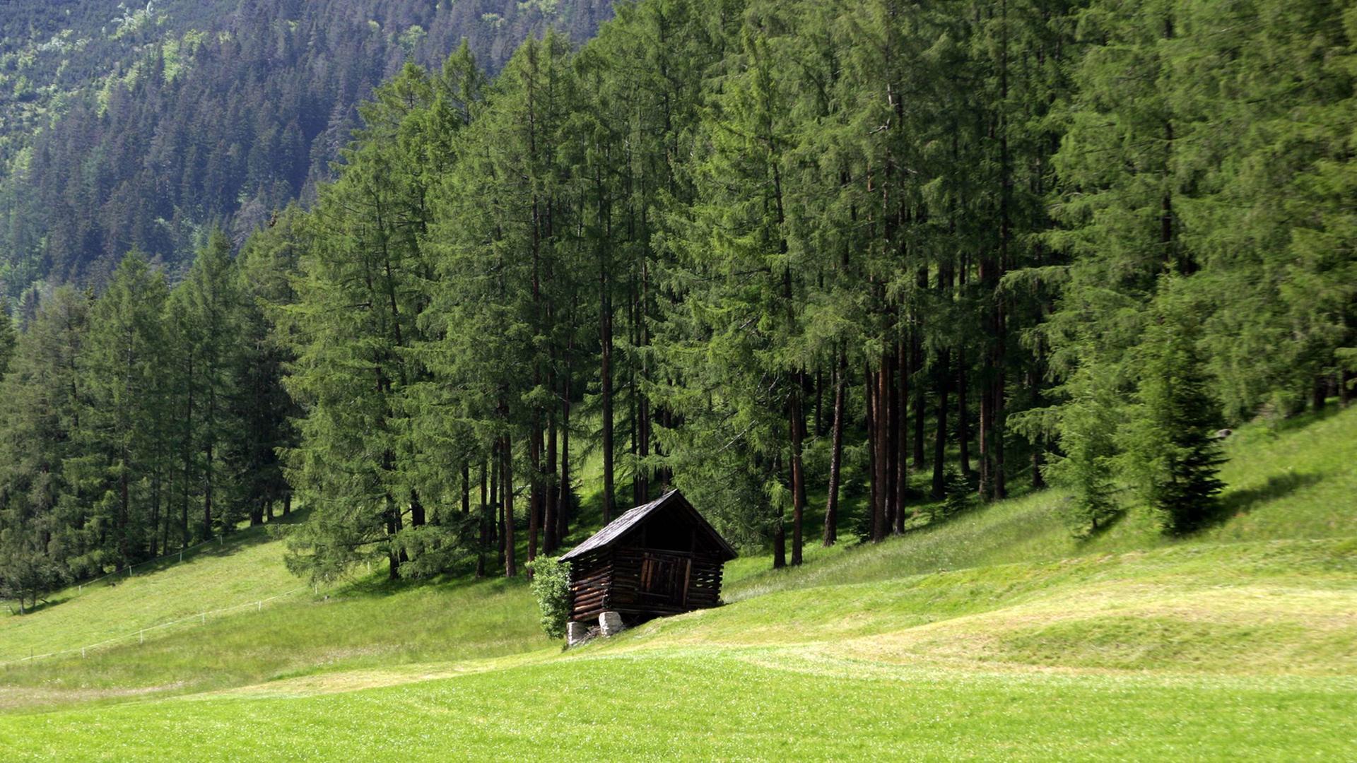 Eine Holzhütte am Waldrand in Tirol - Österreich.