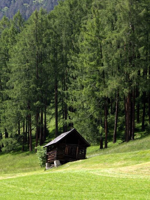 Eine Holzhütte am Waldrand in Tirol - Österreich.