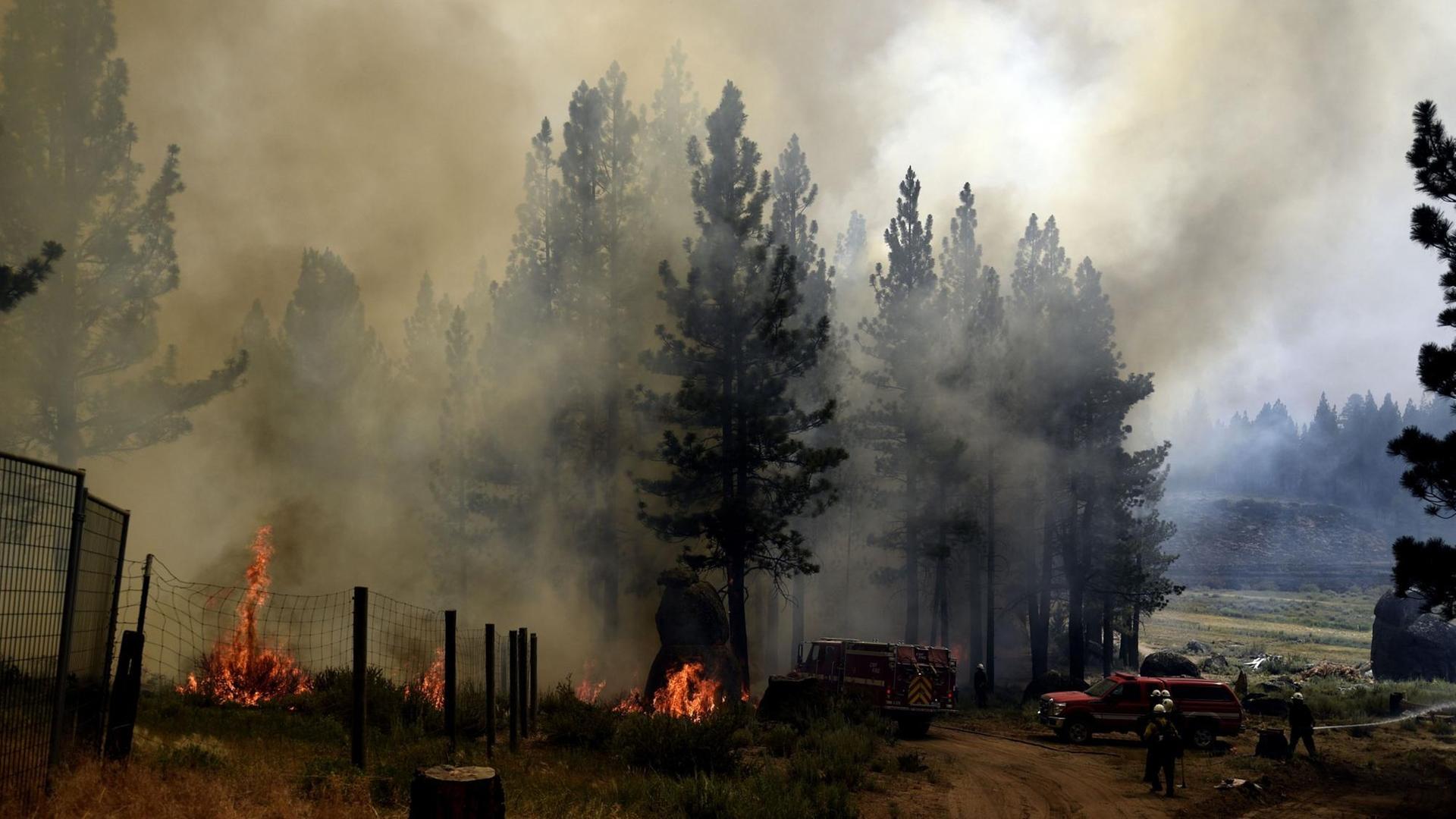 Feuer wütet in einem Wald in dem Land USA.