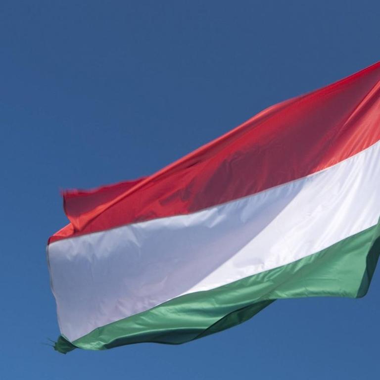 Flagge Ungarn