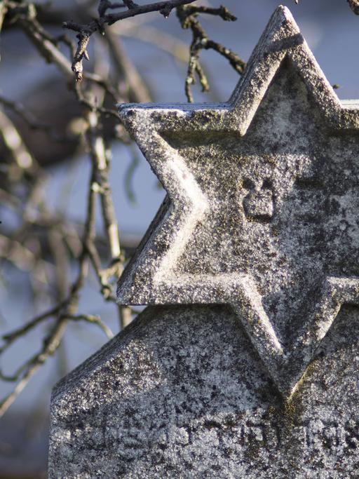 Detail eines Grabsteins auf einem jüdischen Friedhof: Zu sehen ist ein steinerner Davidstern, im Hintergrund Zweige eines Baumes.