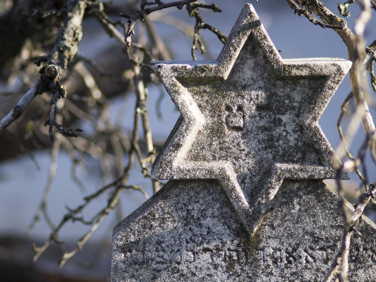 Detail eines Grabsteins auf einem jüdischen Friedhof: Zu sehen ist ein steinerner Davidstern, im Hintergrund Zweige eines Baumes.