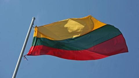 Die litauische Fahne.