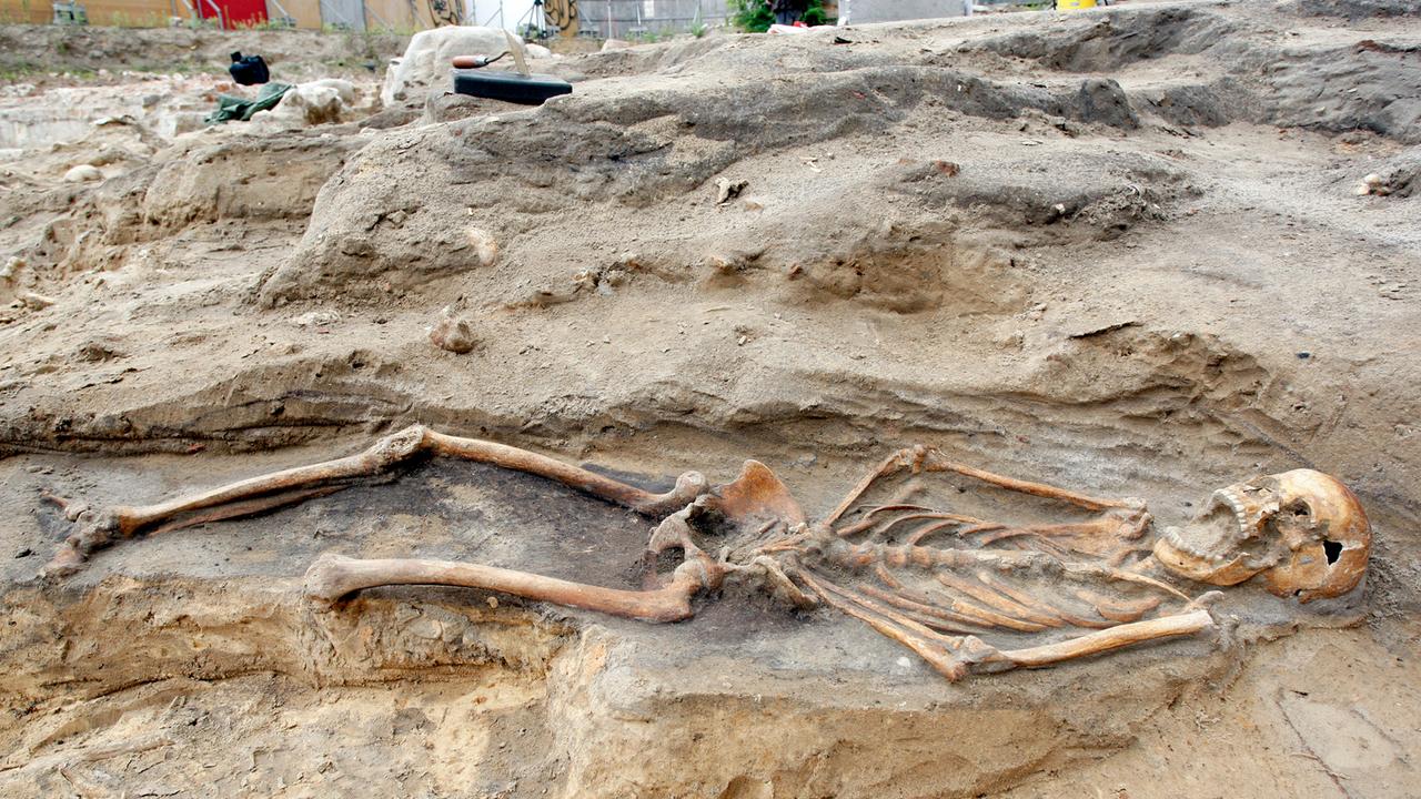 Ein bei einer Ausgrabung freigelegtes menschliches Skelett aus dem 14. Jahrhundert. 