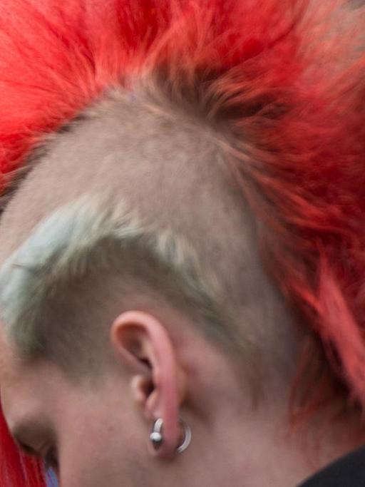 Ein Punk mit rotem Irokesenschnitt auf einer Demo. Foto: Maurizio Gambarini/dpa