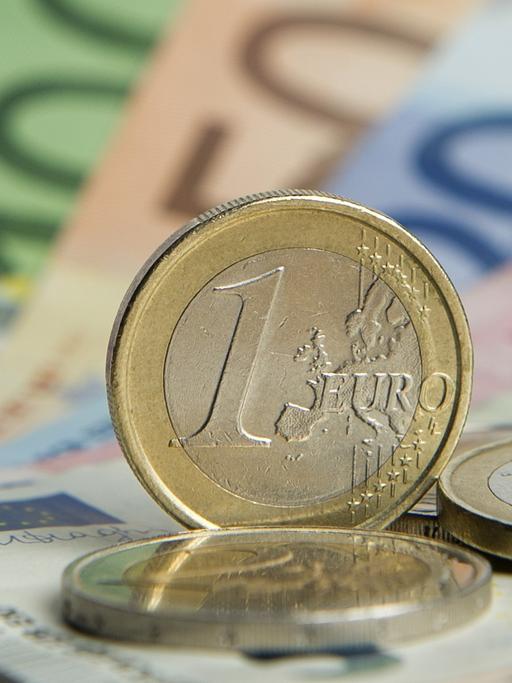 Zahlreiche Euro-Banknoten und Euromünzen, aufgenommen am 03.01.2014 in Frankfurt am Main (Hessen).