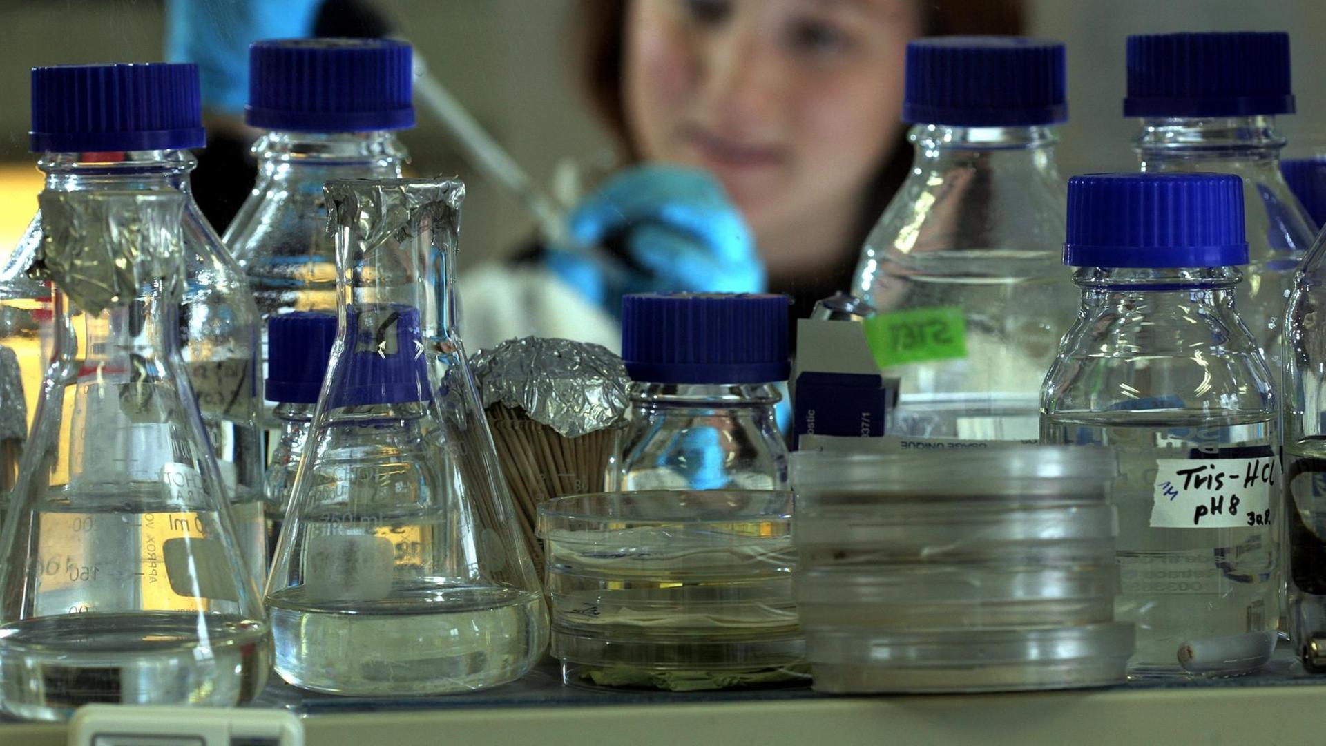 Verschiedene mit Flüssigkeit gefüllte Flaschen stehen in einem Labor.