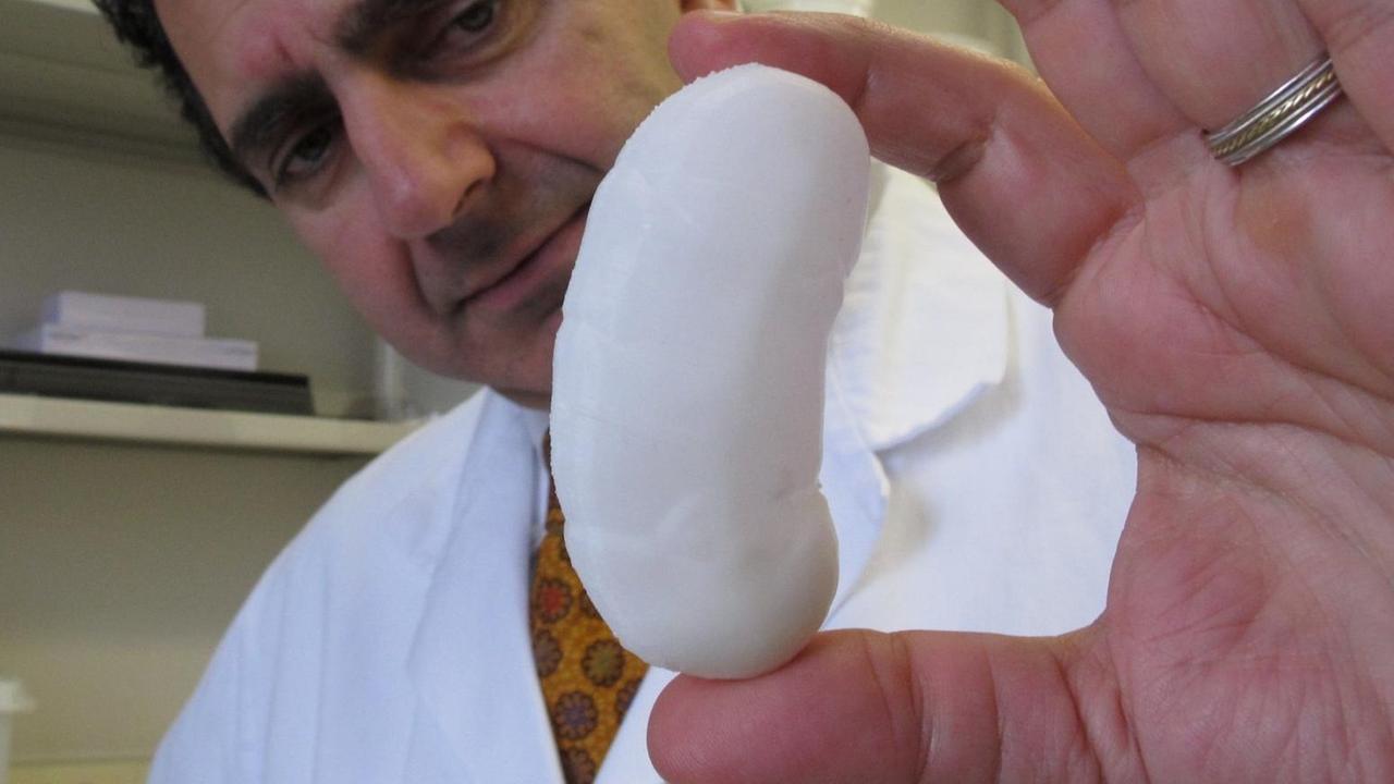 Eine Alternative zu sogenannten invivo-Organen: Das Foto zeigt eine Niere aus dem 3-D-Drucker. Präsentiert von dem Forscher Anthony Atala im Labor der US-amerikanischen Wake Forest University. 