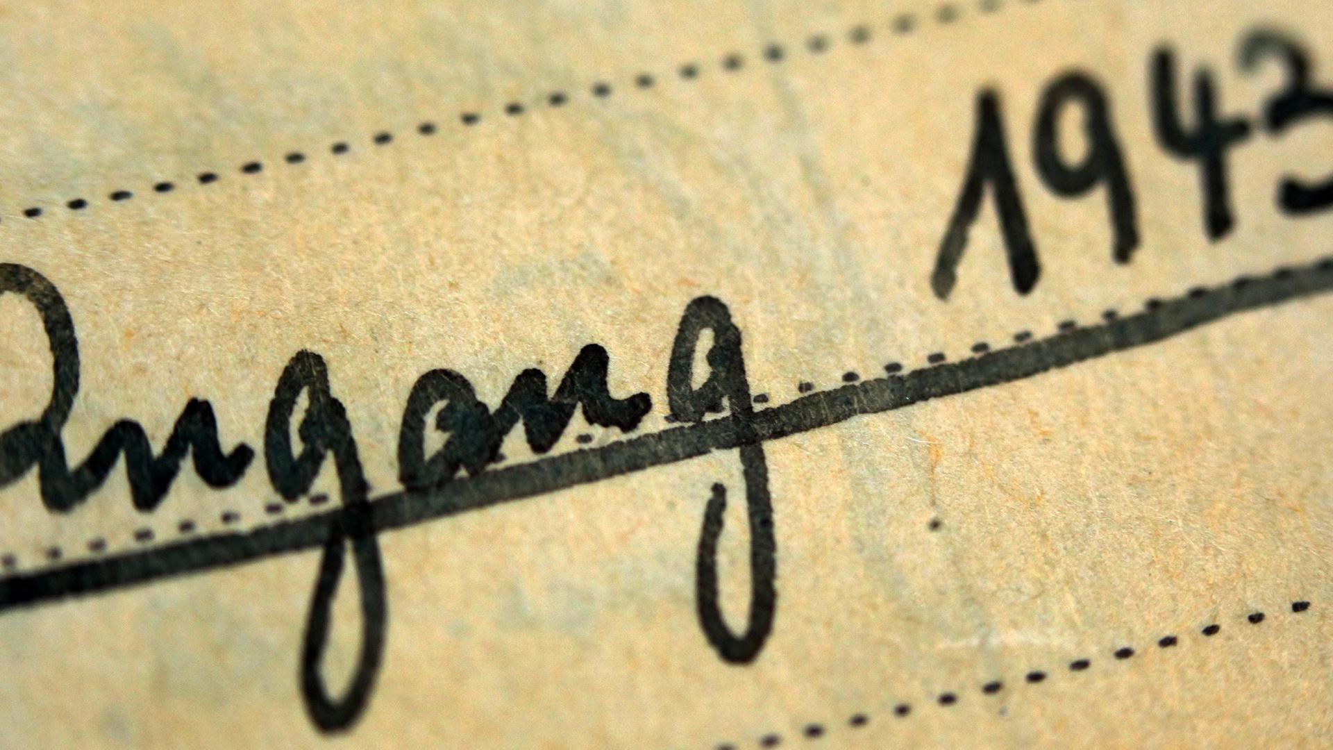 Der Ausschnitt einer historischen Museums-Akte zeigt den handschriftlichen Eintrag "Zugang 1943"