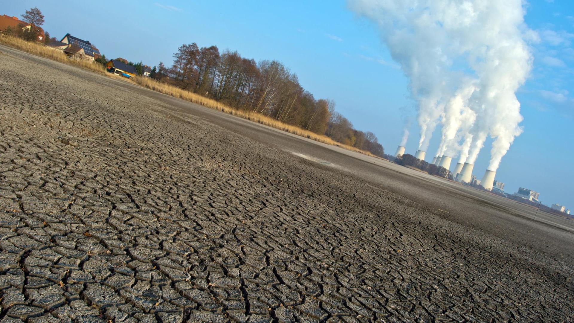 Ausgetrocknete Böden und Wasserdampf aus Kohlekraftwerken - In Jänschwalde kümmert der Klimawandel kaum einen Kraftwerksmanager (Aufnahme von 2015)