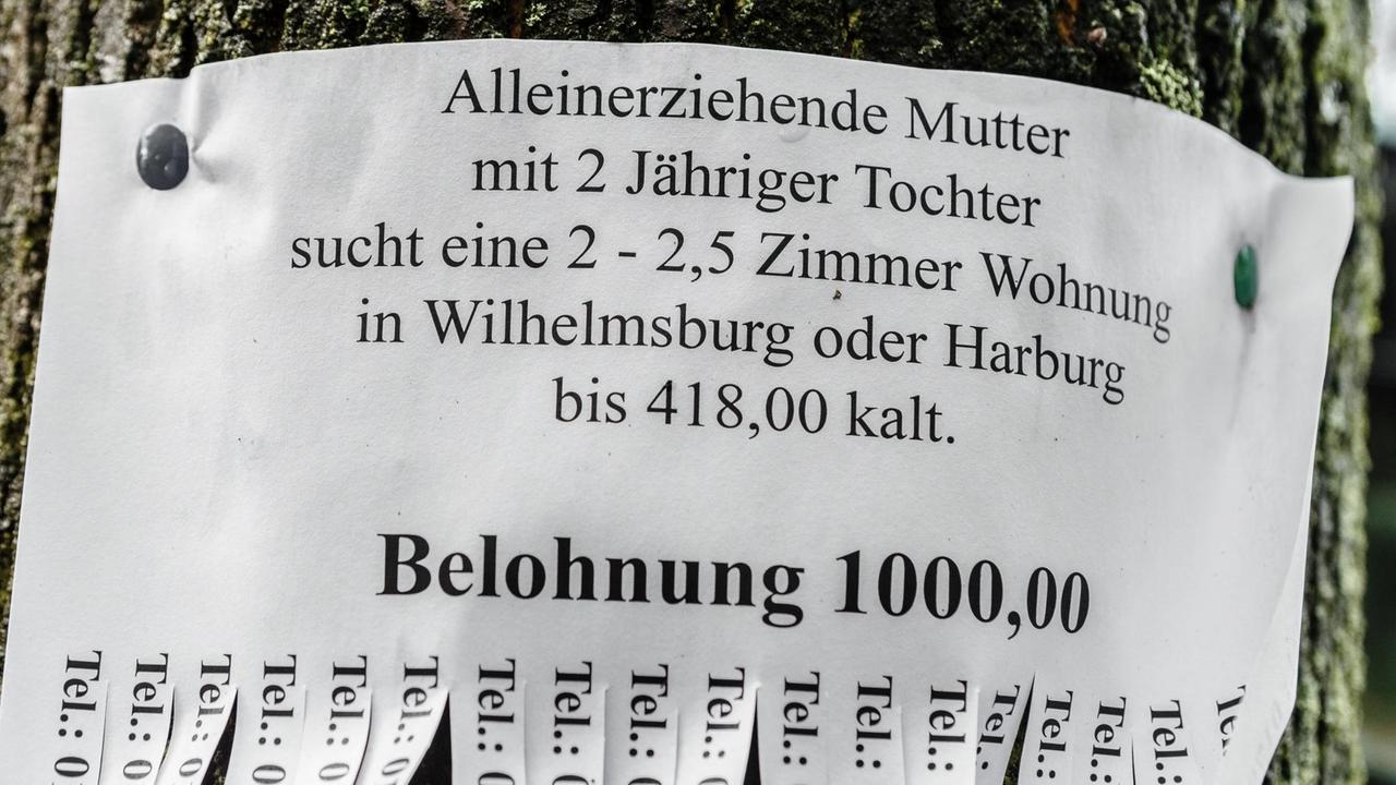 Ein Zettel an einem Baum in Hamburg verspricht eine Belohnung von 1000 Euro für die erfolgreiche Vermittlung einer Wohnung an eine alleinerziehende Mutter. 