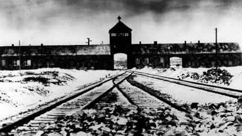 Das Konzentrationslager Auschwitz im Januar 1945