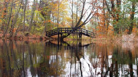 Eine Brücke spiegelt sich nahe dem Spreewalddorf Straupitz (Brandenburg) in einem kleinen See.