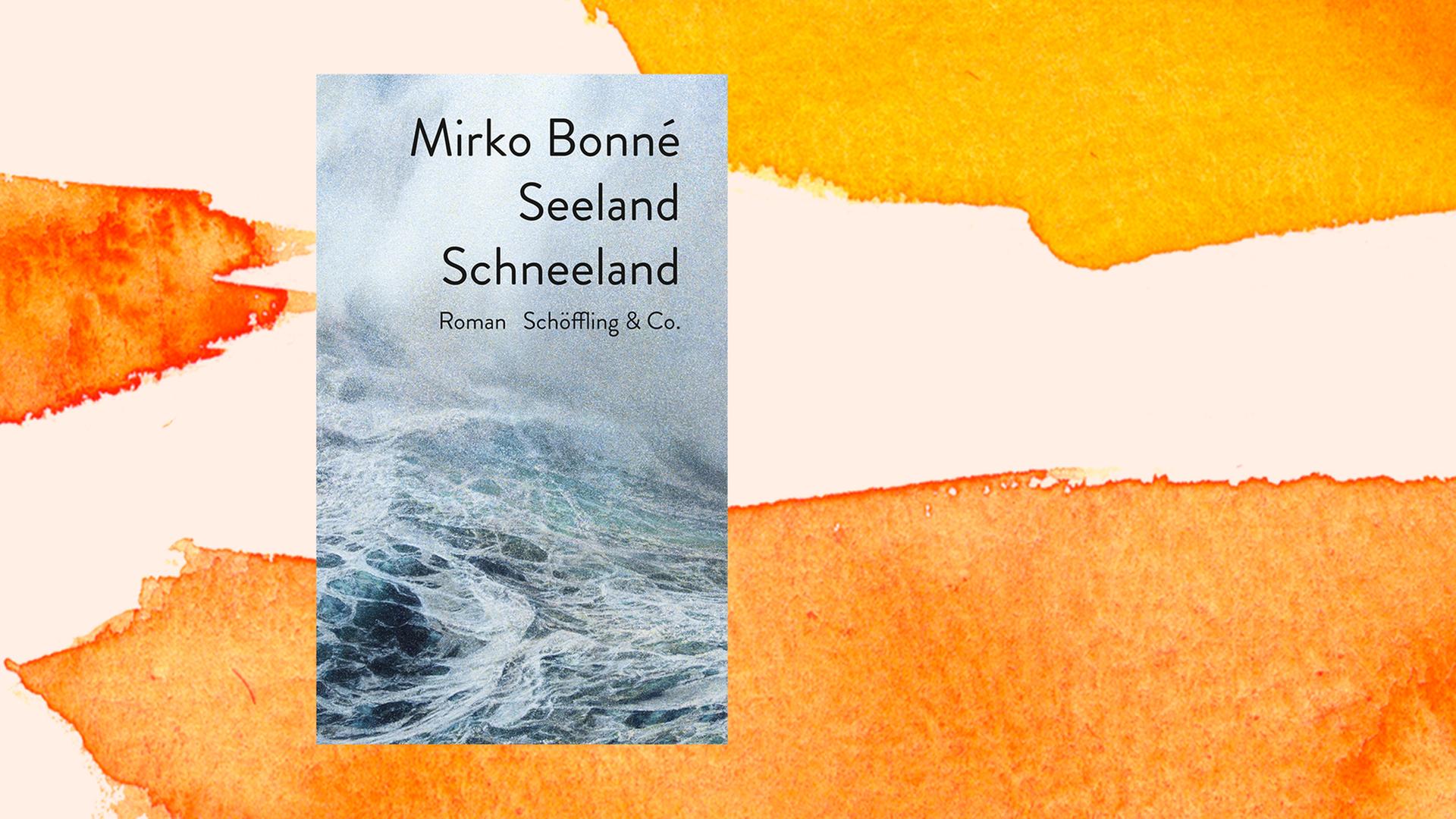 Buchcover von Mirko Bonné: "Seeland Schneeland" Liebesgeschichte mit blindem Passagier, Schöffling & Co, 2021.