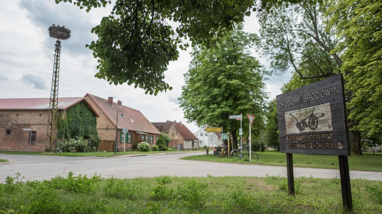 Blick auf den Dorfanger am 16.07.2017 im Ökodorf Brodowin (Brandenburg)