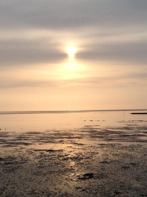 Sonnenaufgang auf der Insel Pellworm