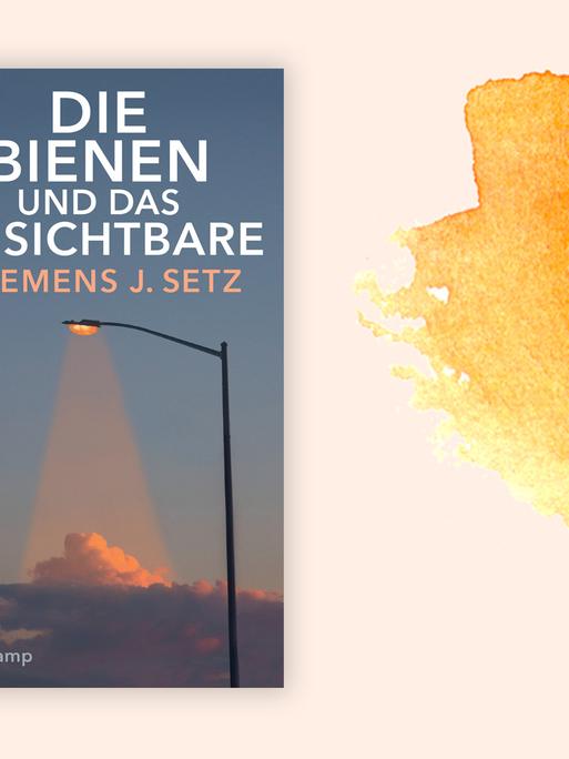 Buchcover "Die Bienen und das Unsichtbare" von Clemens J. Setz
