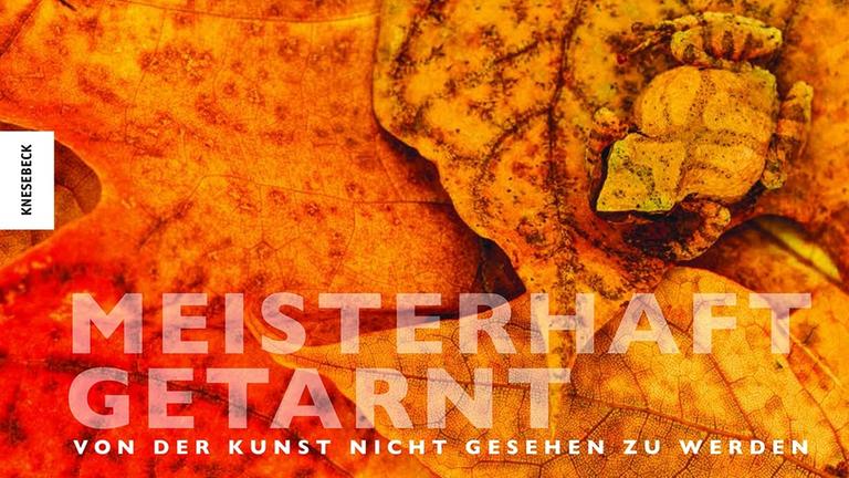 Cover-Ausschitt: Art Wolfe: "Meisterhaft getarnt - Von der Kunst nicht gesehen zu werden", übersetzt von Eva Dempewolf, Knesebeck Verlag, gebunden mit 200 farbigen Abbildungen