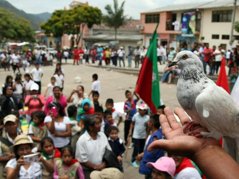 Demonstration für Frieden mit der FARC in Toribio, Kolumbien, 2016. Im Vordergrund eine weiße Taube.