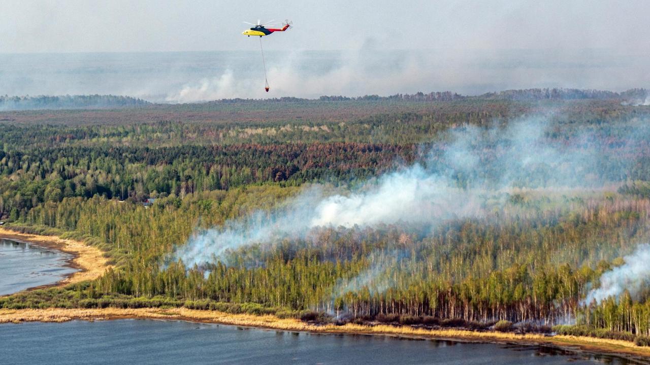 Ein Waldbrand in der Tyumen-Region in Russland