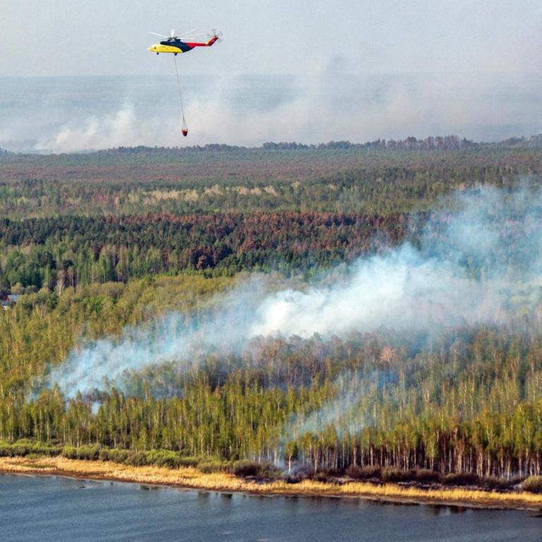Ein Waldbrand in der Tyumen-Region in Russland