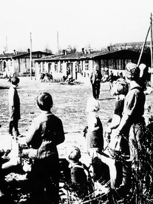 Ein Flüchtlingslager 1945 in Schleswig-Holstein