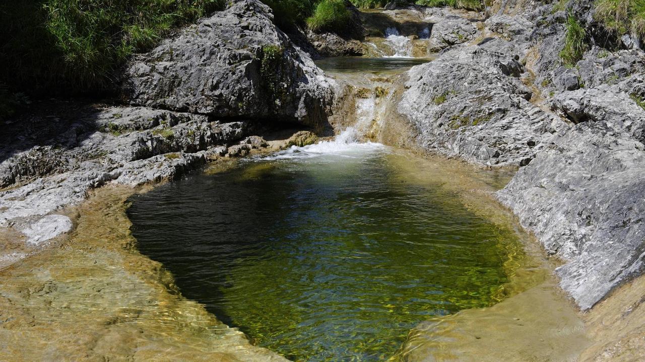 Wasserloch, Gumpen, Gebirgsbach, Naturschutzgebiet Schronbachtal, im Isarwinkel, bei Lenggries, Oberbayern, Bayern, Deutschland