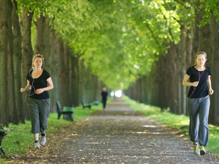 Zwei Frauen joggen am 06.08.2014 in Hannover (Niedersachsen) durch die Herrenhäuser Gärten. Foto: Ole Spata/dpa