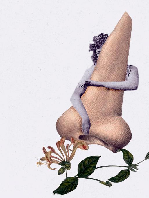 Collage, bestehend aus der Zeichunug einer Nase, die von hinten von einer Frau umarmt wird und einer botanischen Blumendarstellung.