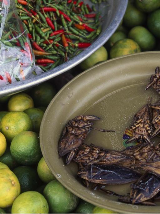 Chilli, Limetten und geröstete Insekten auf einem Markt in Patong, Phuket, Thailand, Südostasien, Asien | Verwendung weltweit, Keine Weitergabe an Wiederverkäufer.