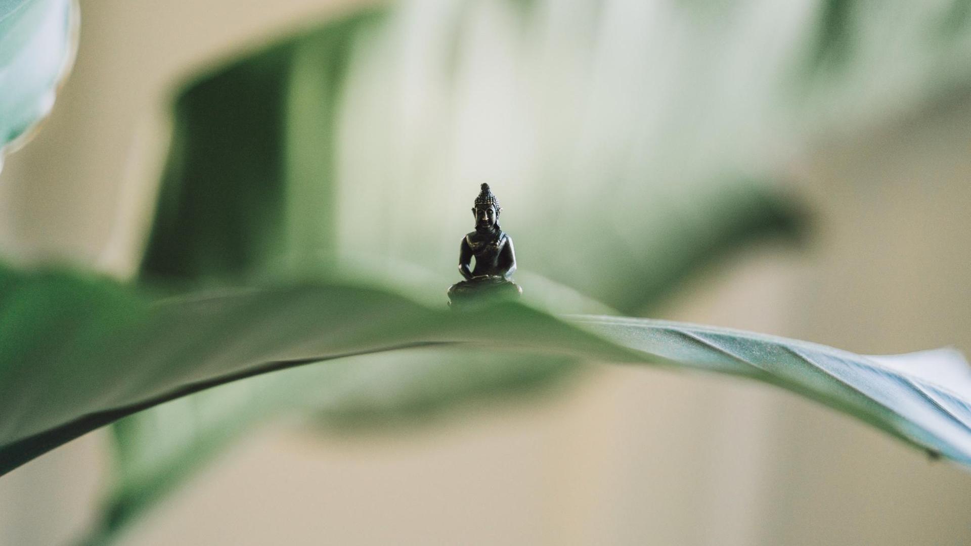 Eine kleine Buddha-Figur wurde auf ein grünes Blatt platziert