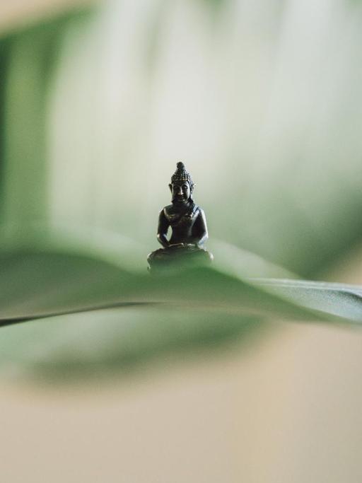 Eine kleine Buddha-Figur wurde auf ein grünes Blatt platziert