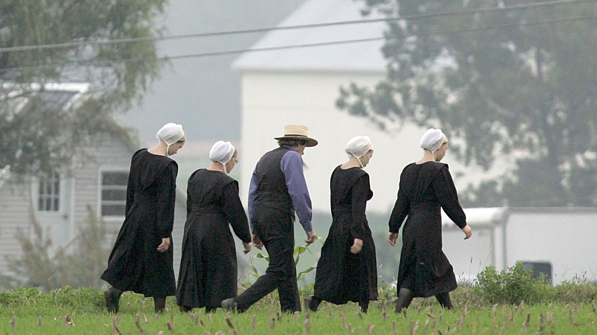 Mitglieder einer Amish-Gemeinde gehen am 4.10.2006 über eine Wiese in Nickel Mines, Pennsylvania.