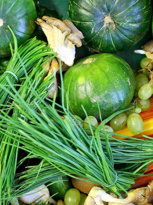 Ein Gemüse-Korb mit Fenchel, Schnitt-Lauch, Kürbissen und Auberginen.