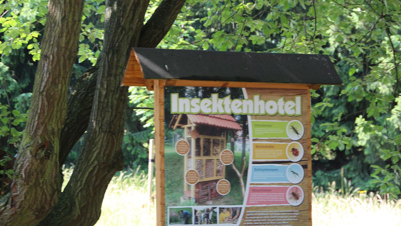 Mal was Neues: das Insektenhotel in Kirchheilingen.